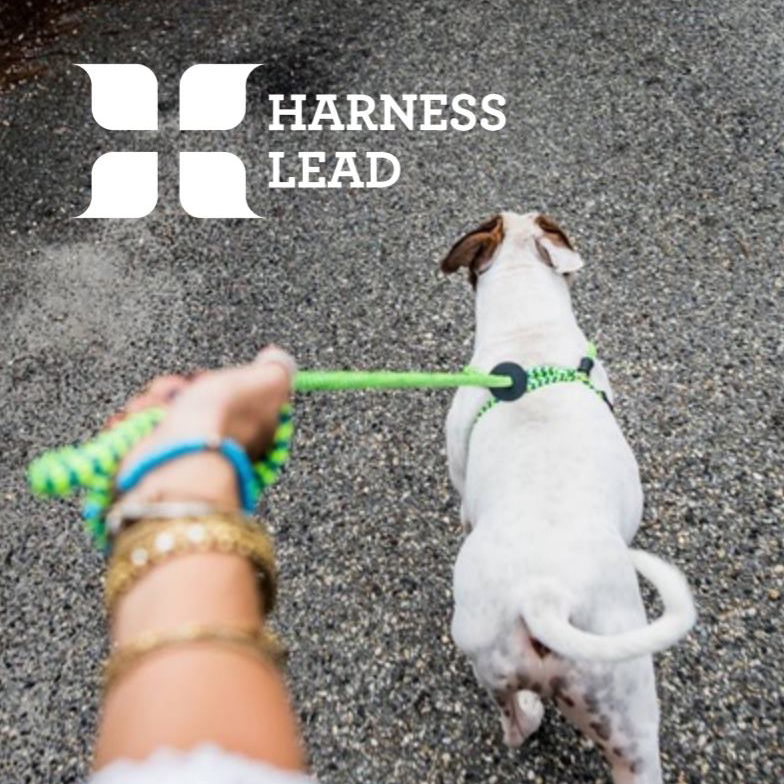 Harness Lead Reflective - Main Image