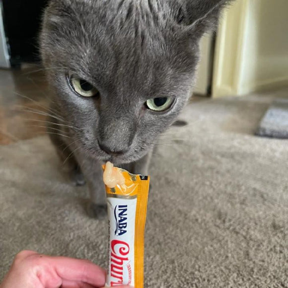 Cat Treats