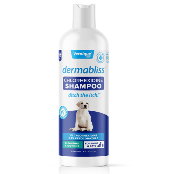 Vetnique Labs Dermabliss Anti-Bacterial & Anti-Fungal Chlorhexidine Shampoo - 16 oz