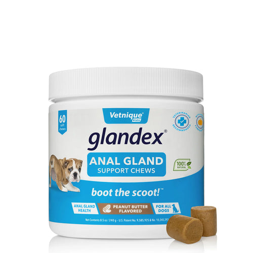 Glandex Anal Gland Support Chews 60 count