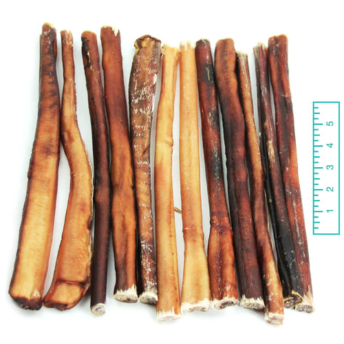 Tuesday's Natural Dog Company 12 Thick Bully Stick