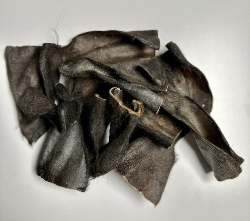 QT Dog Water Buffalo Ears with Hair Dog Chews
