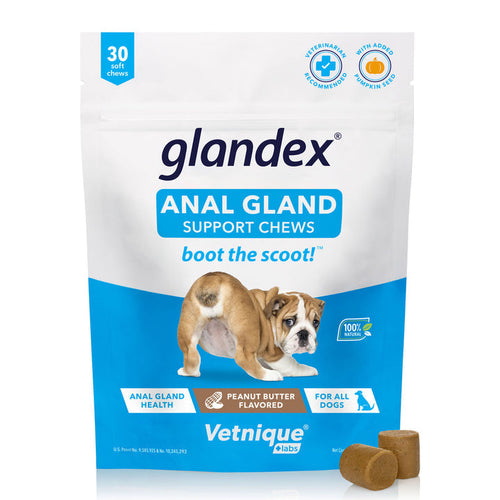 Glandex® Anal Gland Supplement For Dogs With Pumpkin (60 Count Peanut Butter)