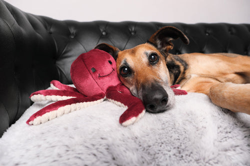 Fluff & Tuff Olympia Octopus Toy (Medium)
