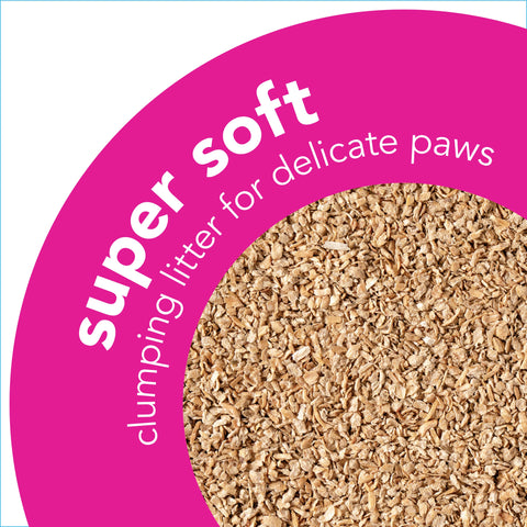 Okocat litter super soft best sale