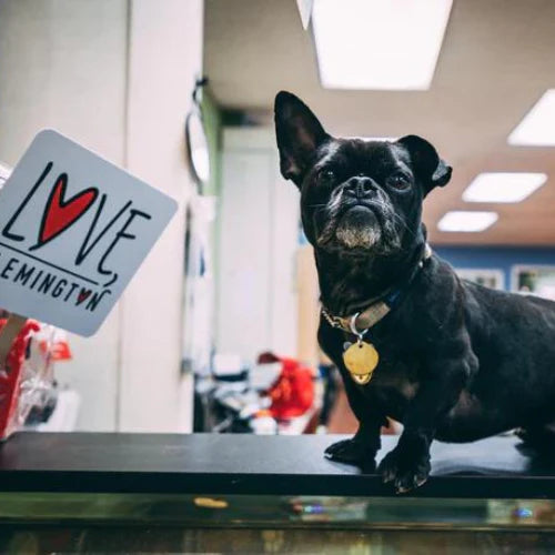 One dog standing on the counter inside Barkley’s Marketplace