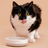 Mason Cash Speckle Dip Cat Bowl 5.1 9.3oz