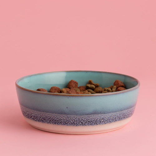 Mason Cash Reactive Fade Pet Bowl 5.9 18.6oz