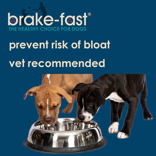 QT Dog Brake-Fast Stainless Steal Non-tip Slow Feed Bowl