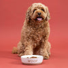 Mason Cash Woof Dog Bowl Cream 5.9 18.6oz