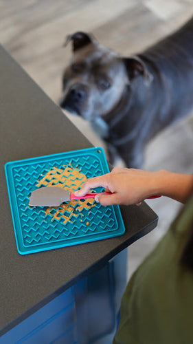Messy Mutts Silicone Therapeutic Dog Lick Mat (8 x 8 / Teal)