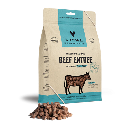 Vital Essentials Freeze Dried Grain Free Beef Mini Nibs Entree for Dogs Food and Free Kong