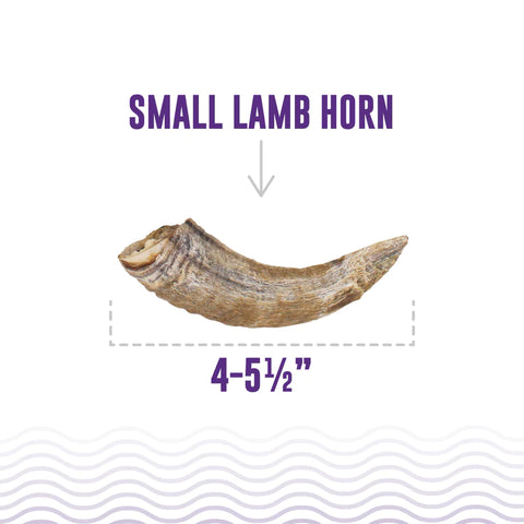 Icelandic+ Small Lamb Horn With Marrow Dog Chew