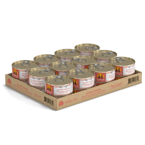 Weruva Jammin’ Salmon with Chicken & Salmon in Pumpkin Soup Dog Food (14-oz, single can)