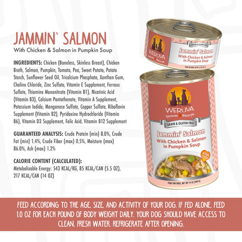 Weruva Jammin’ Salmon with Chicken & Salmon in Pumpkin Soup Dog Food (14-oz, single can)