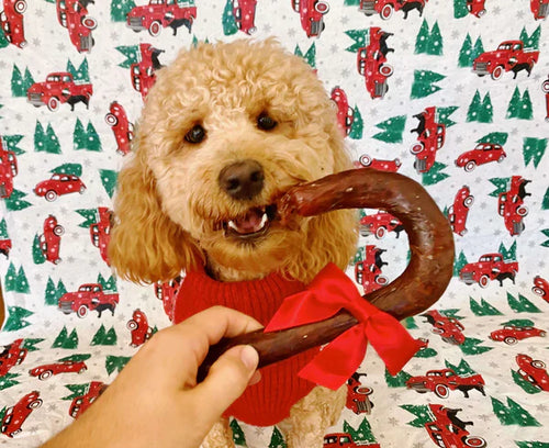 Redbarn Fetchers® Candy Cane Dog Treats (1.95 oz)