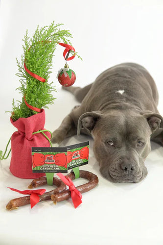 Redbarn Fetchers® Candy Cane Dog Treats (1.95 oz)