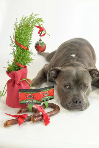 Redbarn Fetchers® Candy Cane Dog Treats (1.95 oz)