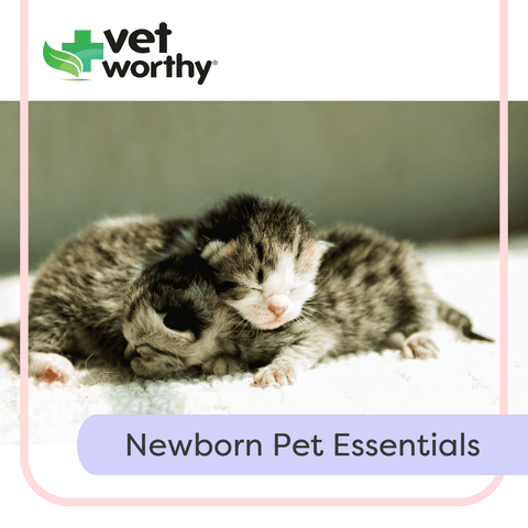 Vet Worthy Feline Nursing Kit