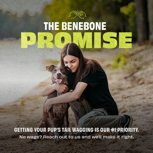 Benebone Rubber Ball Dog Toy (Medium)