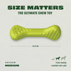 Benebone Rubber Bone Dog Toy (Medium)