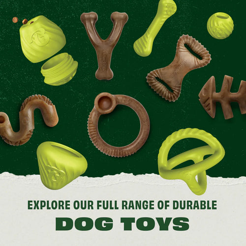 Benebone Rubber Bone Dog Toy (Medium)