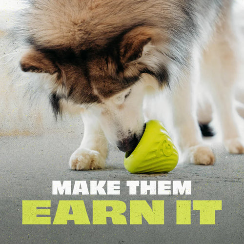 Benebone Rubber Cone Dog Toy (Medium)