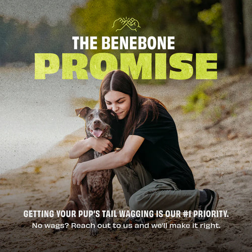 Benebone Rubber Cone Dog Toy (Medium)