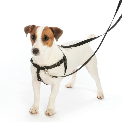 Black Freedom No-Pull Dog Harness (Small (20-24))