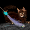 KONG Teaser Glow Firefly Cat Toy (One Size)