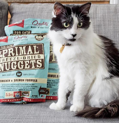 Primal Pet Foods Feline Freeze-Dried Nuggets (Turkey 5.5 Oz)