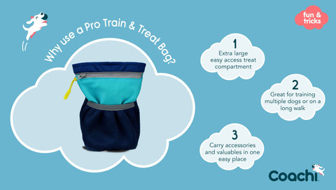 Company of Animals Coachi Pro Train & Treat Bag