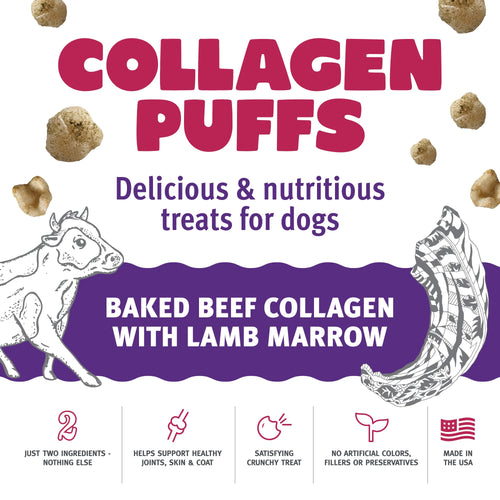 Icelandic+ Beef Collagen with Marrow Treats for Small Dogs