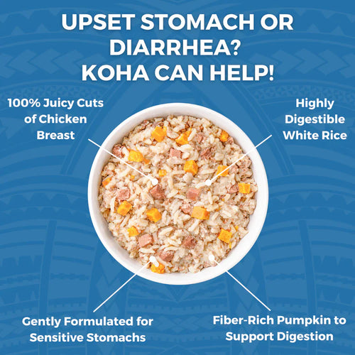 Koha Limited Ingredient Wet Bland Diet Lamb & White Rice Recipe for Dogs (12.5 oz)