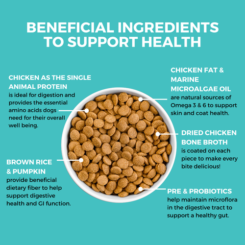 Koha Limited Ingredient Dry Bland Diet Chicken & Brown Rice Recipe with Pumpkin for Dogs (3.5 lb)