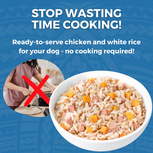 Koha Limited Ingredient Wet Bland Diet Lamb & White Rice Recipe for Dogs (12.5 oz)