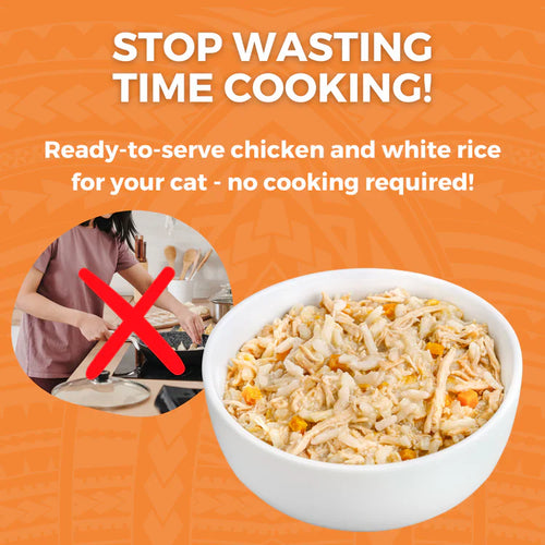 Koha Limited Ingredient Bland Diet Chicken & Rice Recipe for Cats (2.8 oz)