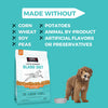 KOHA Limited Ingredient Dry Bland Diet Chicken & Brown Rice Recipe with Pumpkin for Dogs