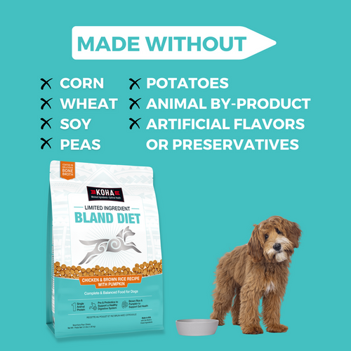 Koha Limited Ingredient Dry Bland Diet Chicken & Brown Rice Recipe with Pumpkin for Dogs (3.5 lb)