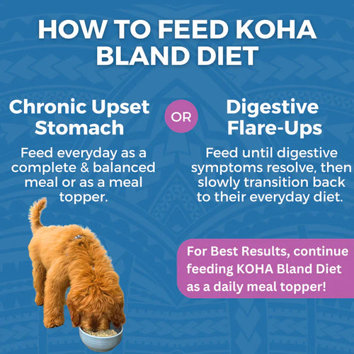 Koha Limited Ingredient Wet Bland Diet Lamb & White Rice Recipe for Dogs (12.5 oz)