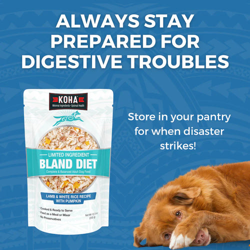Koha Limited Ingredient Wet Bland Diet Lamb & White Rice Recipe for Dogs (12.5 oz)