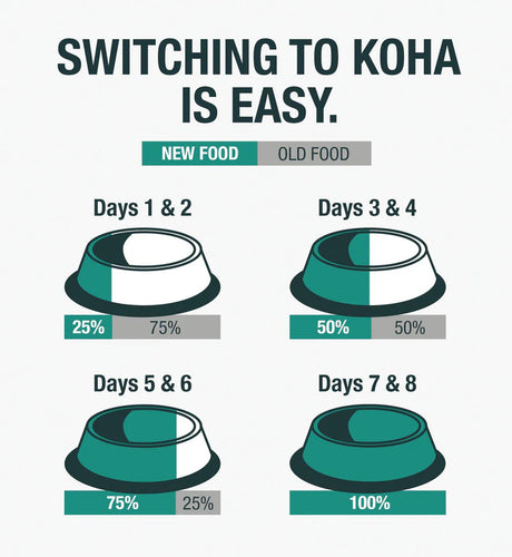 KOHA Venison Dog Food: Limited Ingredient Diet Venison Entrée for Dogs