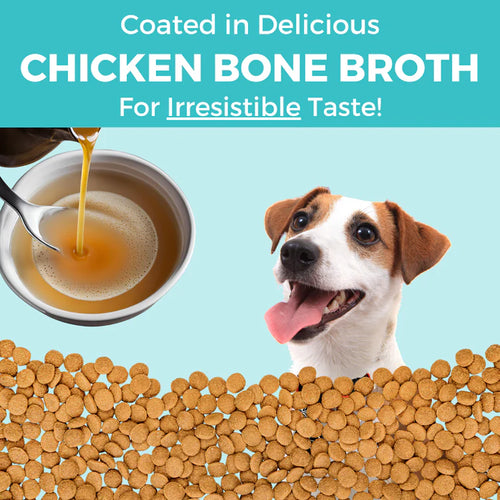 KOHA Limited Ingredient Dry Bland Diet Chicken & Brown Rice Recipe with Pumpkin for Dogs