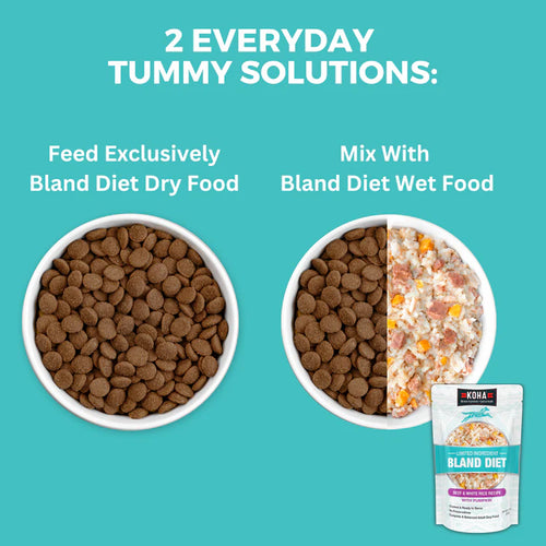 KOHA Limited Ingredient Dry Bland Diet Beef & Brown Rice Recipe with Pumpkin for Dogs