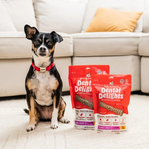 Stella & Chewy's Dental Delights Extra Small Dental Treats for Dogs