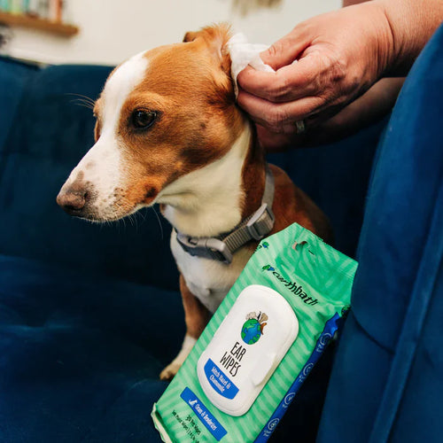 Earthbath Ear Wipes with Witch Hazel & Chamomile for Dogs and Cats (30-count)