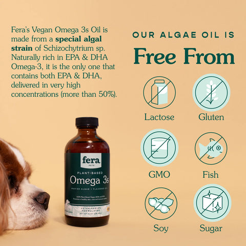 Fera Vegan Omega-3 Algea Oil for Dogs & Cats