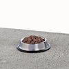 Primal Pet Foods Feline Raw Frozen Pronto (Turkey 1 Lb)