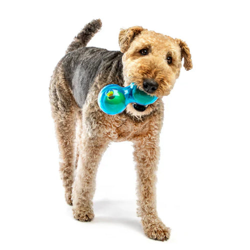 Guru Duo Ball Dog Toy (Medium: 7.25”L x 3.5”W x 3.5”H)