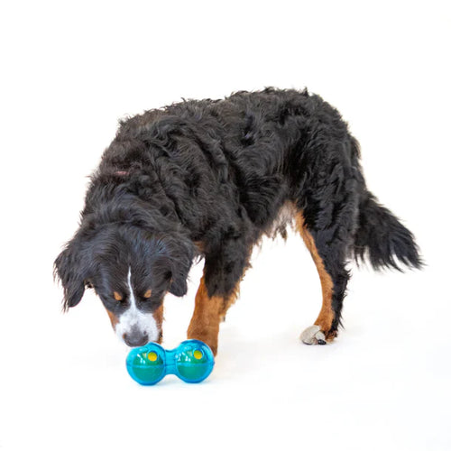 Guru Duo Ball Dog Toy (Medium: 7.25”L x 3.5”W x 3.5”H)